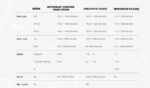 AKRAPOVIC E-B10E9 BMW S 1000 XR / M 1000 XR (20-25) (TITANIUM) HEADERS